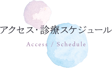 アクセス診療スケジュール Access / Schedule