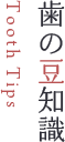 歯の豆知識 Tooth Tips